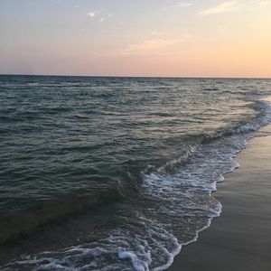 Meet your Posher, Mallory